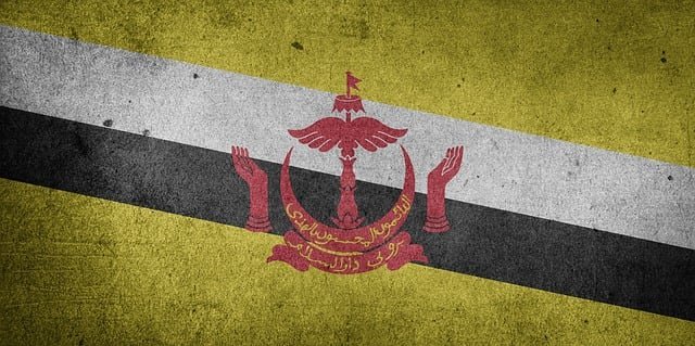 Brunei Flag