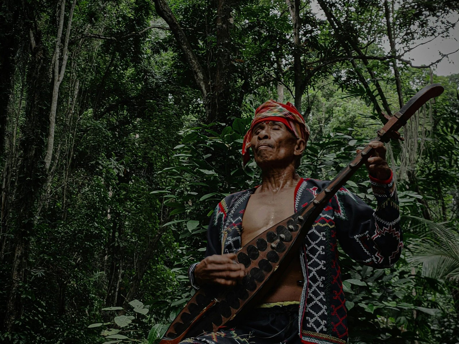 String and Wind Instruments - String and Wind Instruments