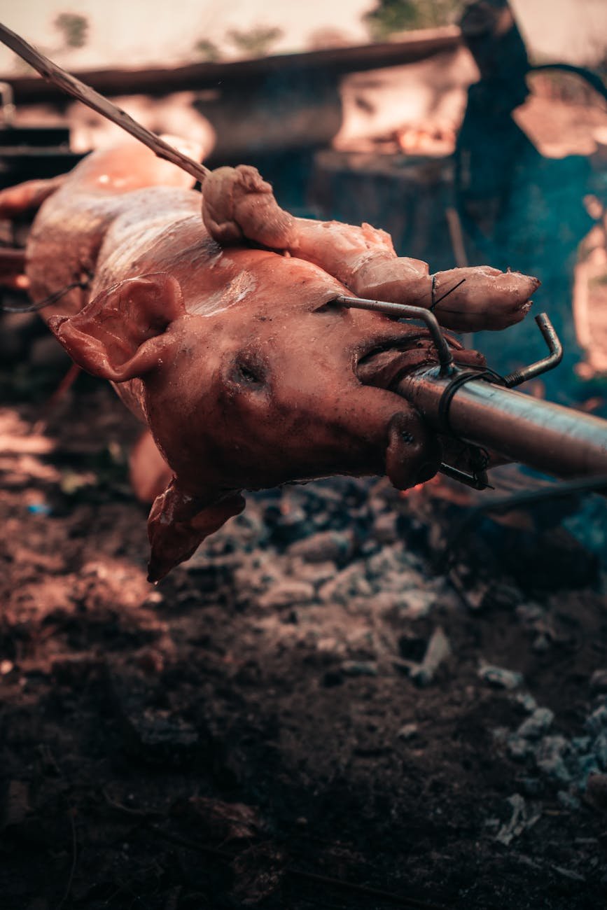a pig being grilled