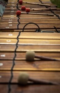 Read more about the article Music in Cambodia: A Journey Through Tradition, Culture, and Modern Sound