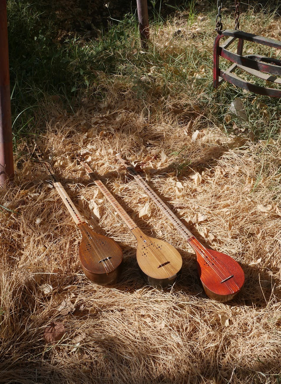 traditional persian setars on dry grass in autumn